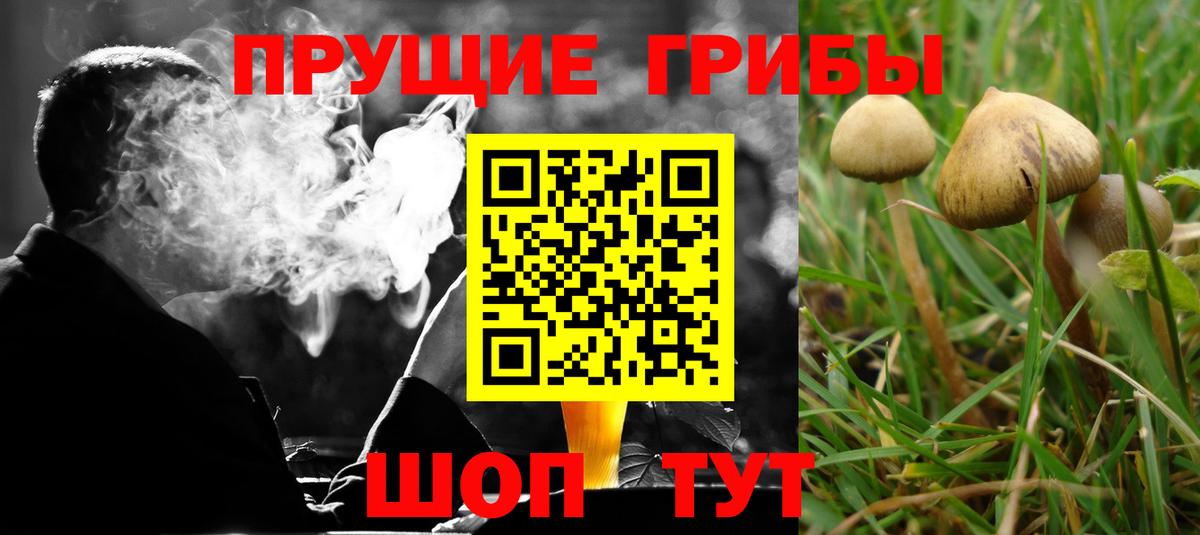 Усолье-Сибирское  Галлюциногенные грибы ЛСД  Вход с VPN 